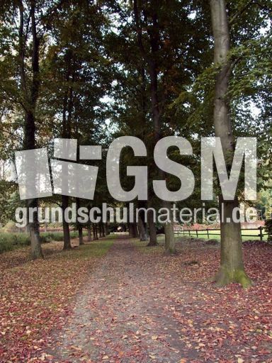 B-Herbststimmung 025.jpg